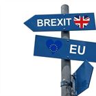 5 Brexit Questions Answered To Help Tradesmen Prepare For 2021