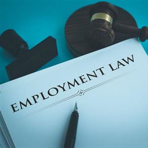 Employment Law and Health & Safety Updates for Small Business Tradespeople