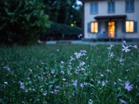 Make Your Home More Eco-Friendly with These Energy-Saving Upgrades