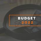 Budget 2022 Analysis for Self Employed Trade Professionals.