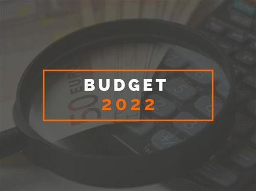 Budget 2022 Analysis for Self Employed Trade Professionals.