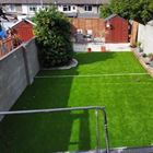 Meet the Expert: The Artificial Grass Trend