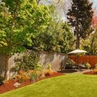 Introduction to Cost-Effective Garden Landscaping