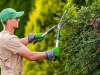 Garden Services Price Guide (2025)