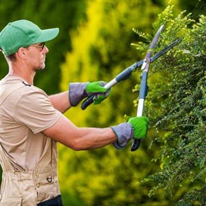 Garden Services Price Guide (2025)