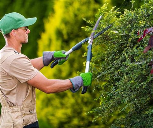 Garden Services Price Guide (2025)
